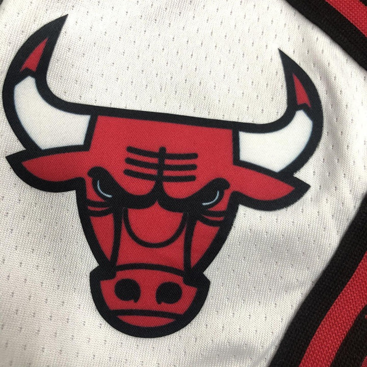 Chicago Bulls Icon Edition Shorts – Red