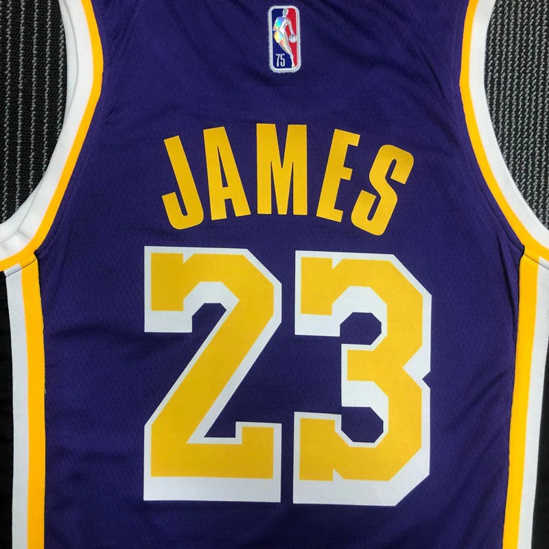 Los Angeles Lakers 75th Diamond Edition 21/22 LeBron James #23 Jersey – Purple