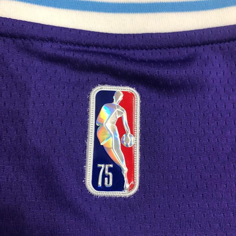 Los Angeles Lakers 75th Diamond City Edition 21/22 LeBron James #23 Jersey – Purple