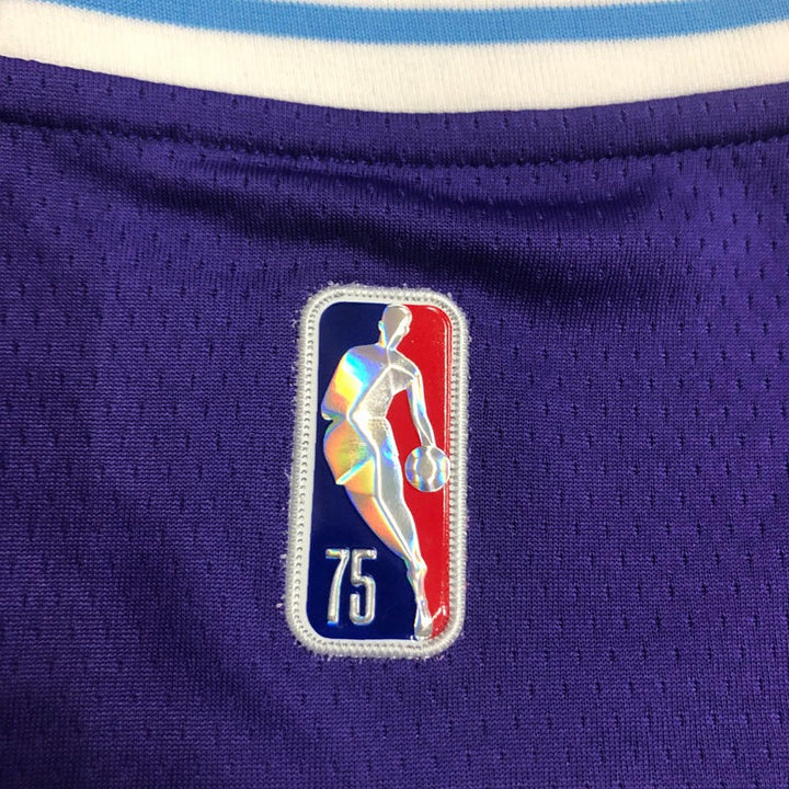Los Angeles Lakers 75th Diamond City Edition 21/22 LeBron James #23 Jersey – Purple